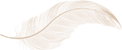 icon-feder-trenner.png